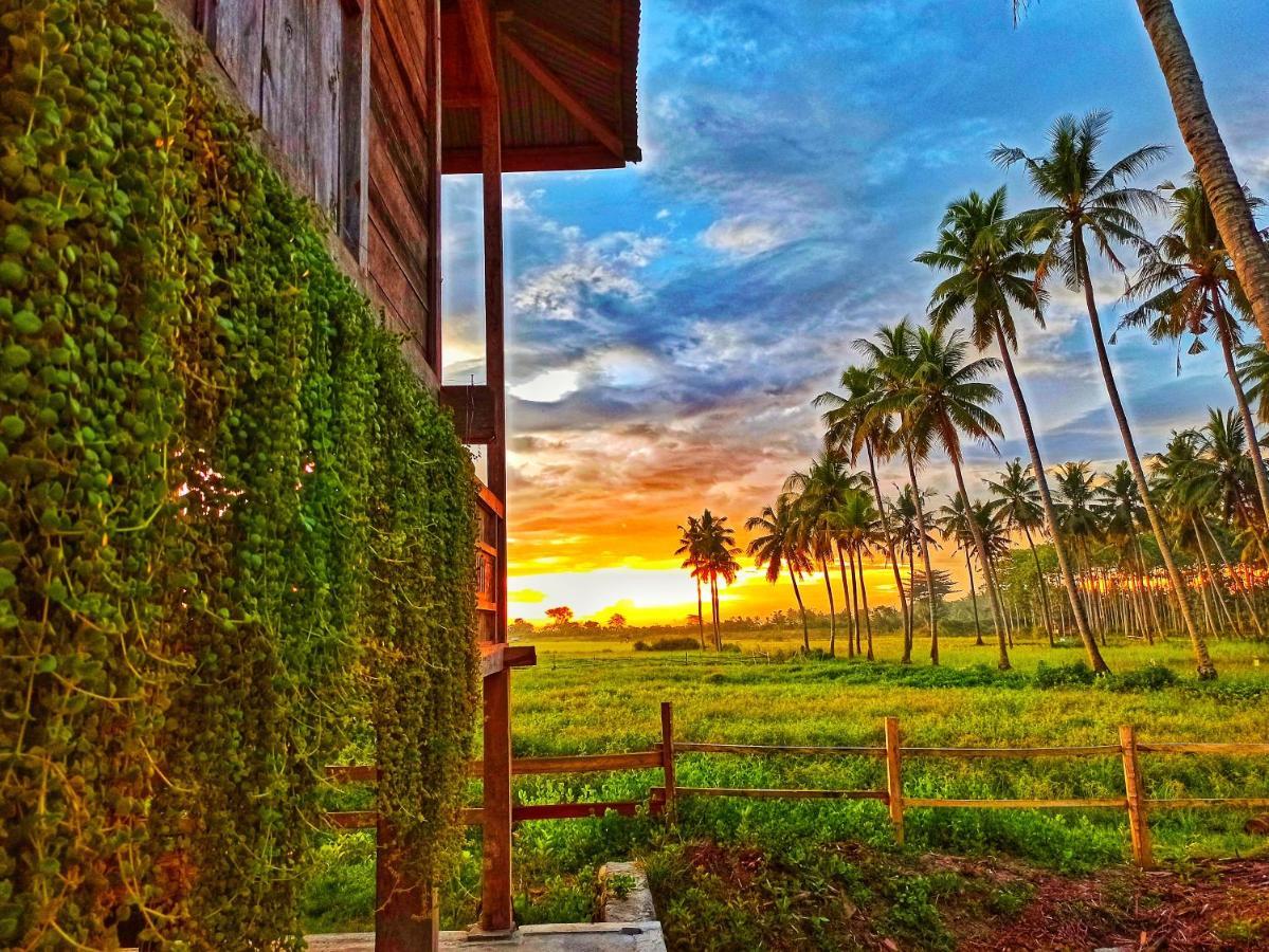 Sunset Homestay By Harry & Mimin Telaga 외부 사진
